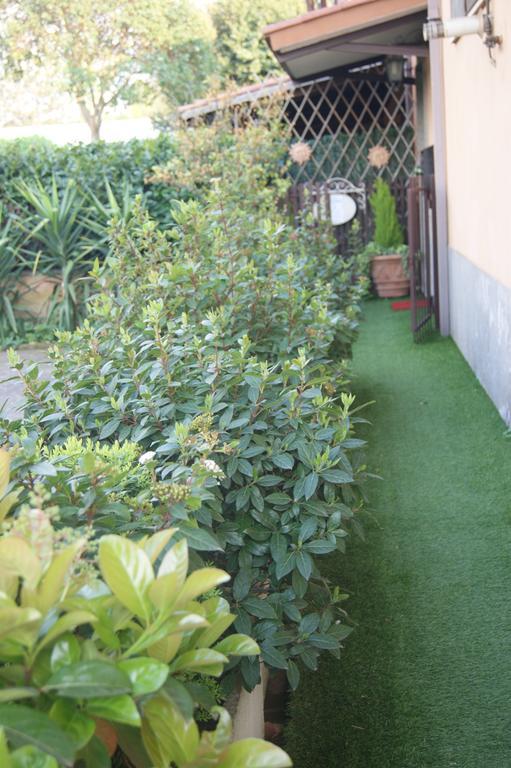 Residenza I Ciclamini Acomodação com café da manhã Roma Exterior foto